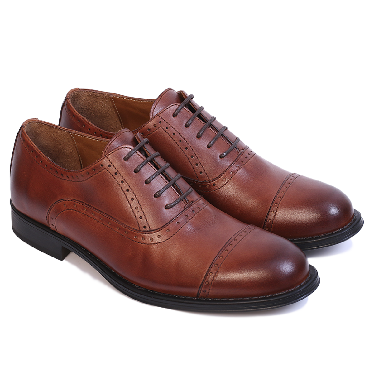 Master Oxford (Richelieu) Tabac