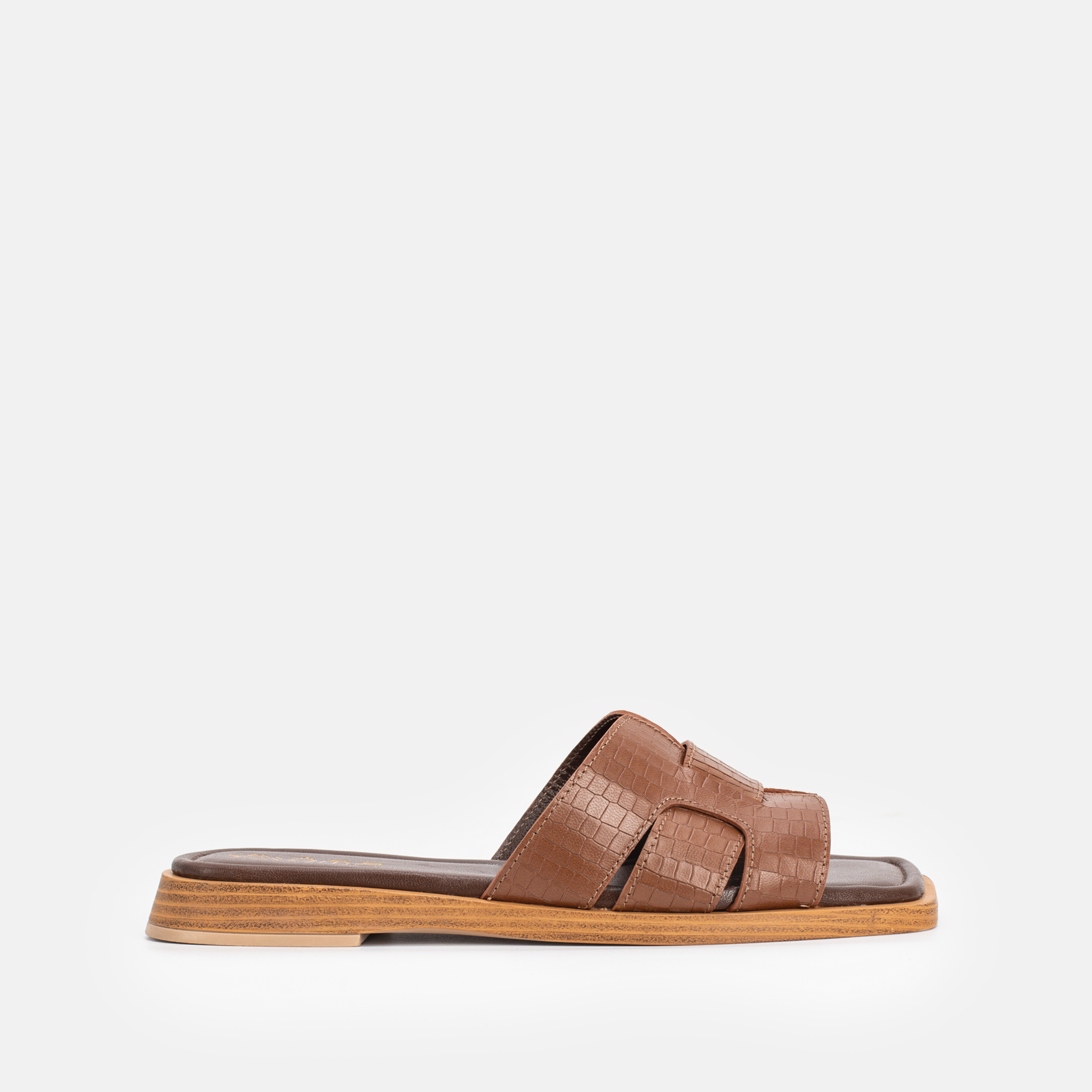 Zephyr Marron