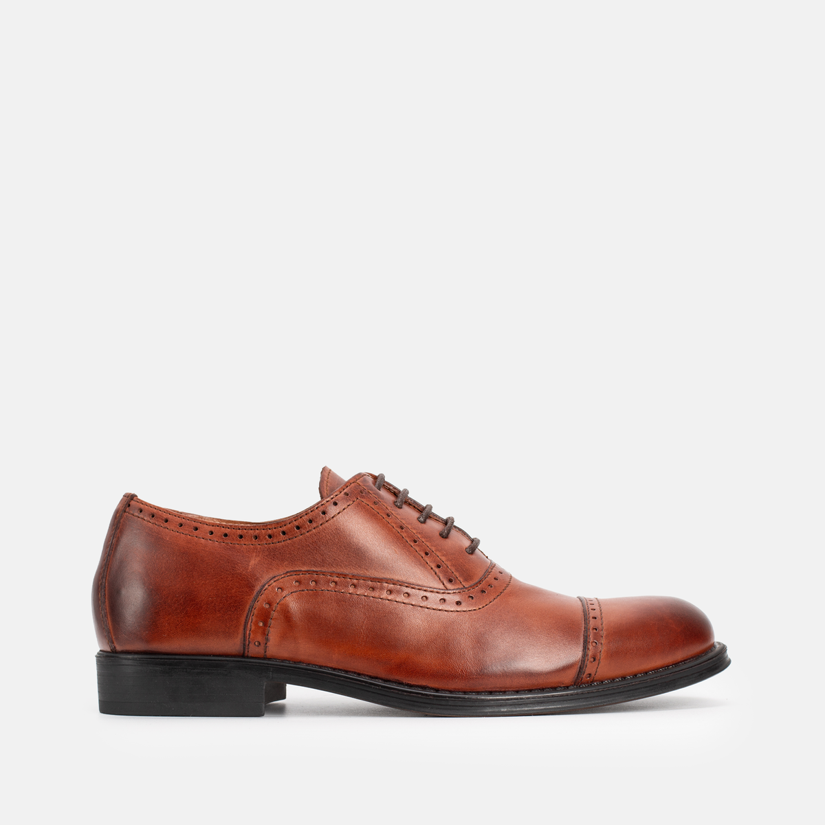 Master Oxford (Richelieu) Tabac