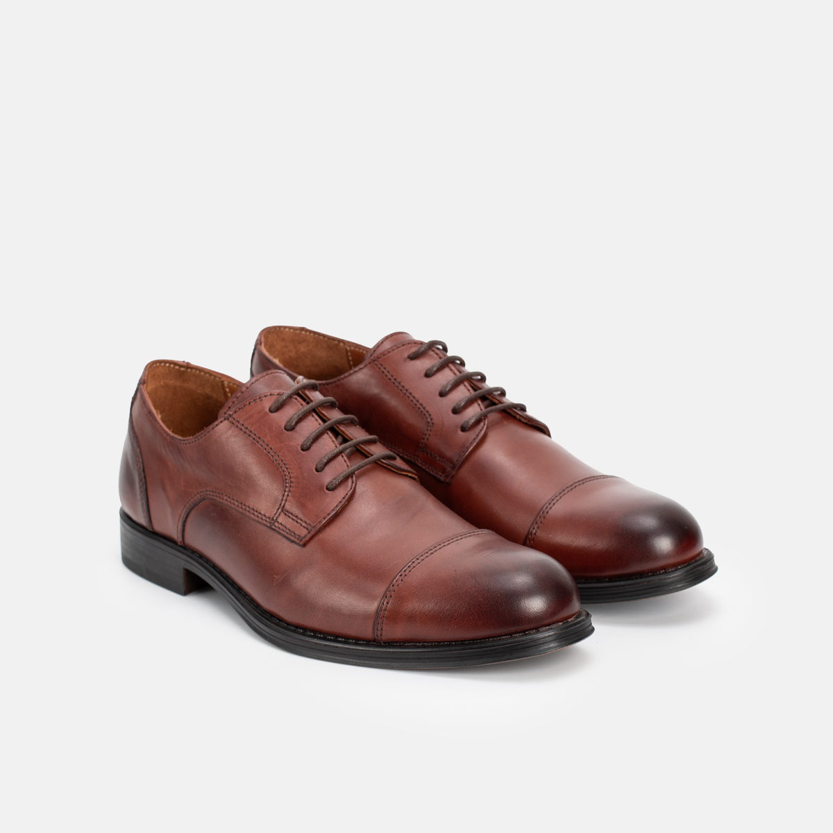 FRED - OXFORD (RICHELIEU) Marron