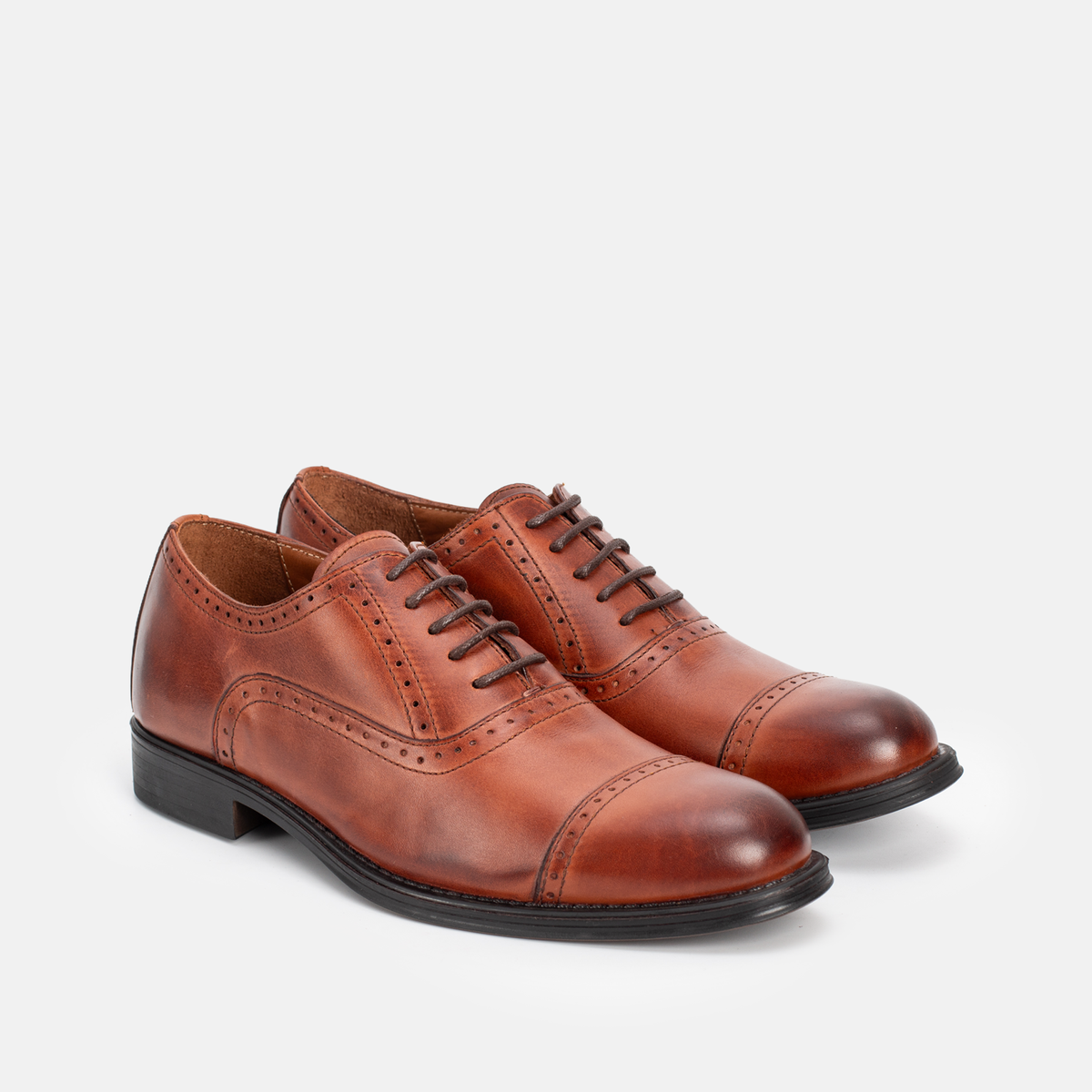 Master Oxford (Richelieu) Tabac