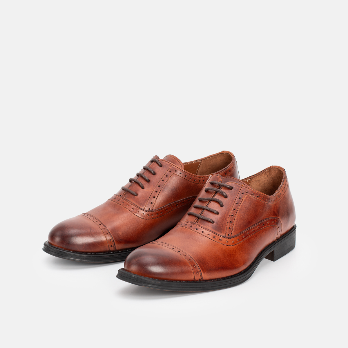 Master Oxford (Richelieu) Tabac