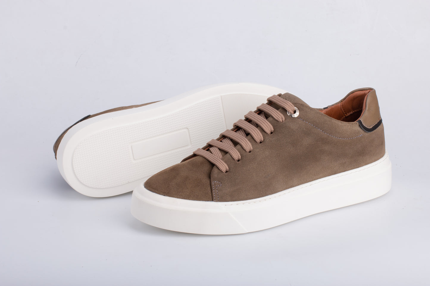 Vektor Daim Vert Militaire