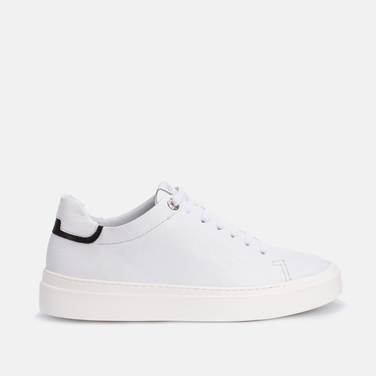 Vektor cuir Blanc
