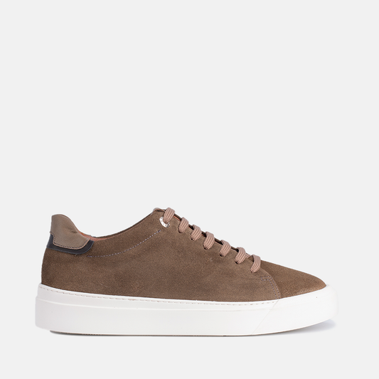 Vektor Daim Vert Militaire