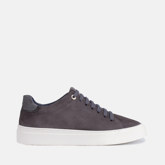 Vektor Daim Gris