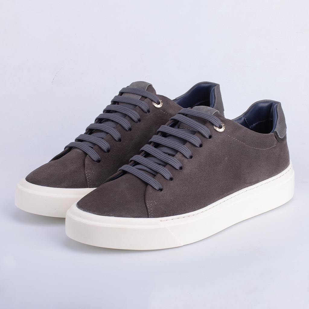 Vektor Daim Gris