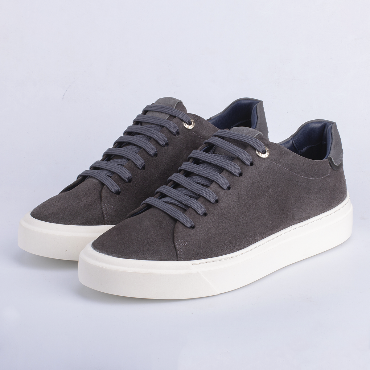 Vektor Daim Gris